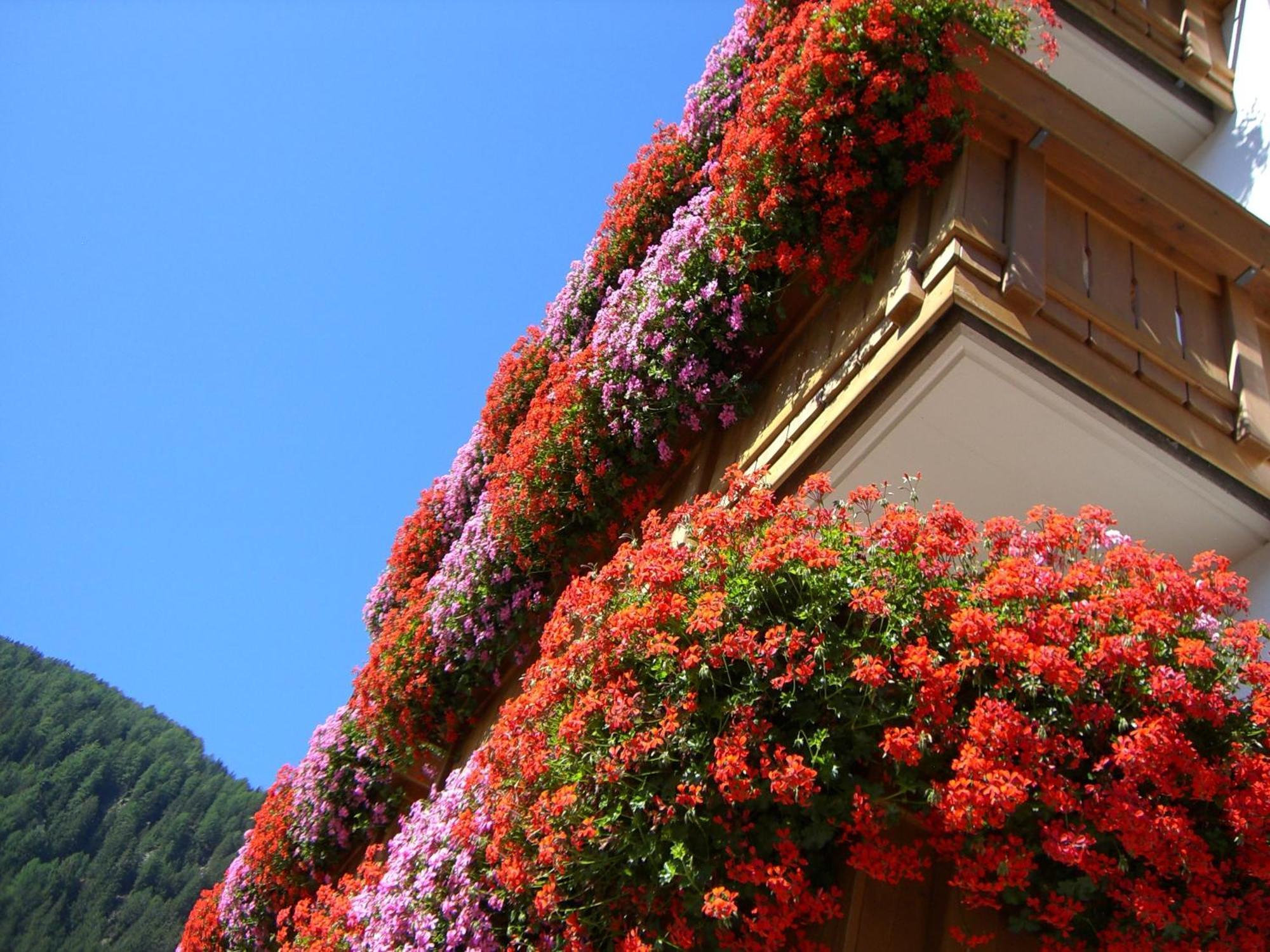 B&B Hotel Alpenrose Rooms & Apartments فاليس المظهر الخارجي الصورة